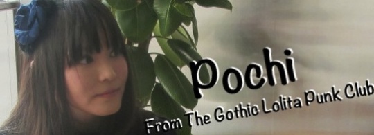 Learning What Lolita is with “Pochi”