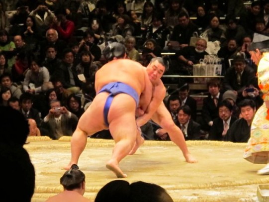 sumo match