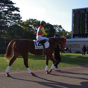 thumbnail_Watching_exciting_horse_race