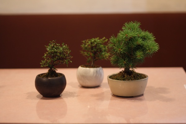 traditional-culture-1-1