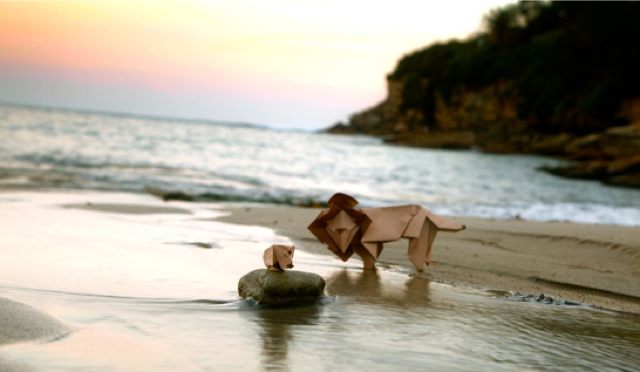 traditional-culture-38-0