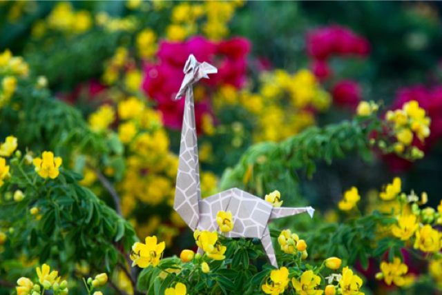 traditional-culture-38-4